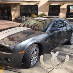 Meet your Posher, Riley